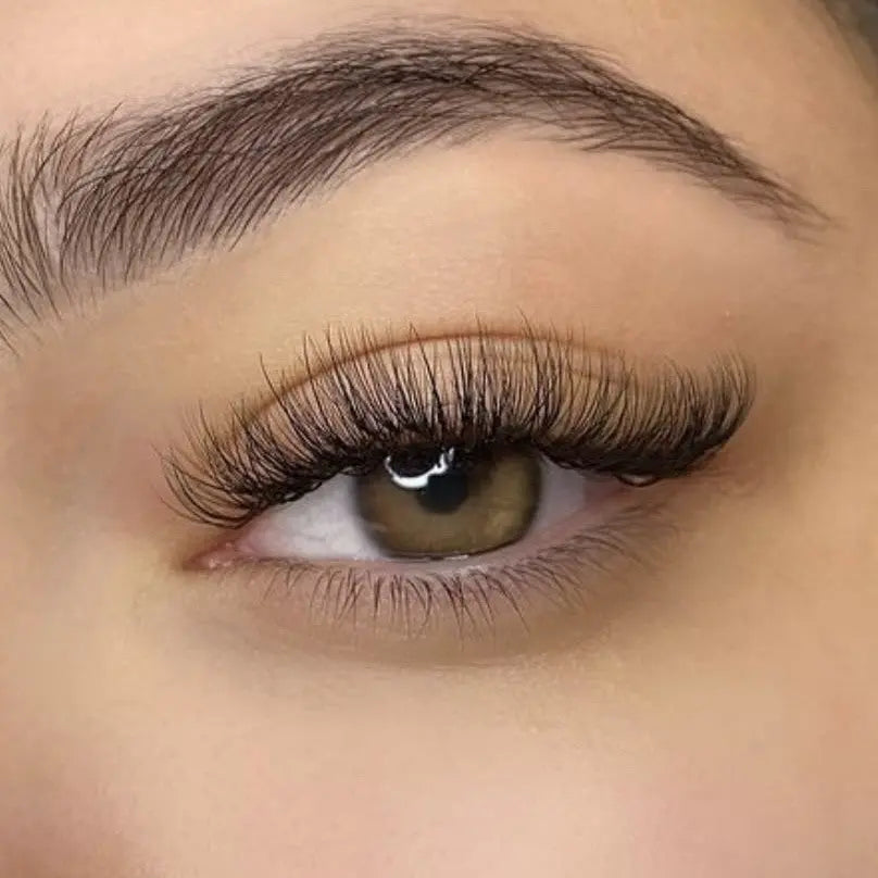 Hybrid Lash Fill Silk & Wink Lash