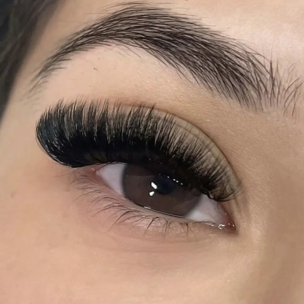 Mega Volume Lash Fill Silk & Wink Lash