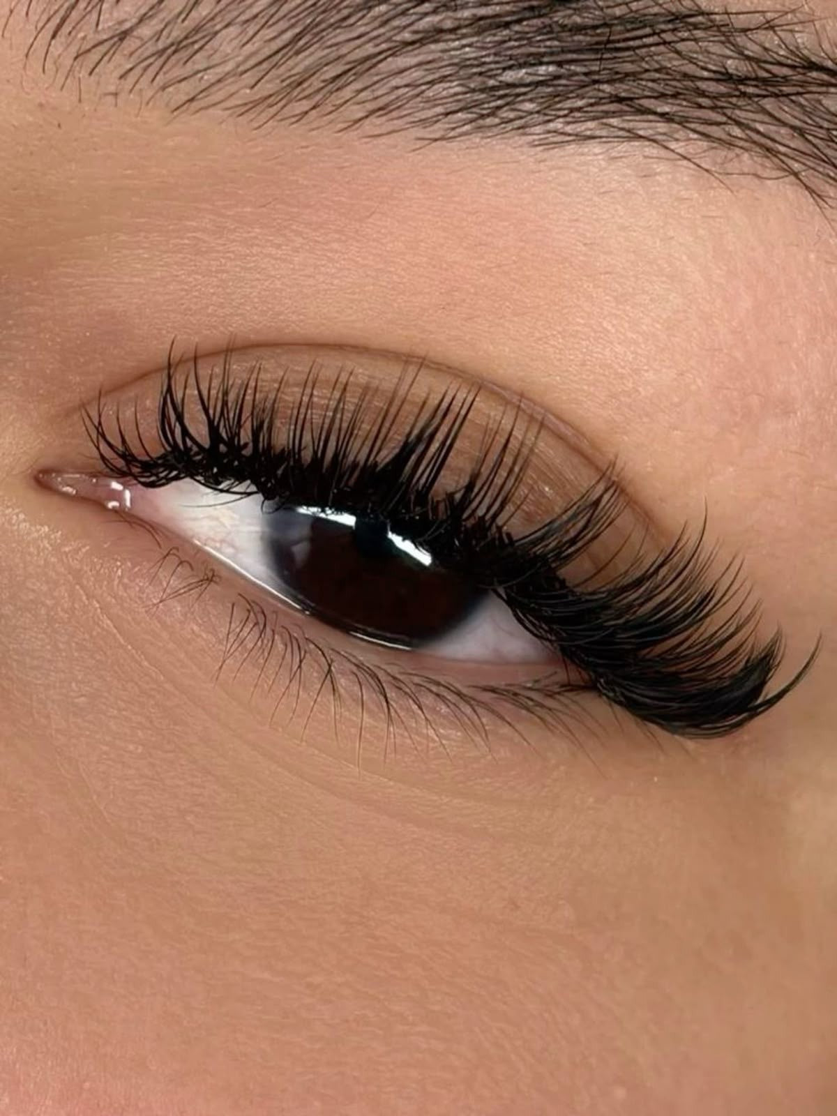 Silk & Wink Lash